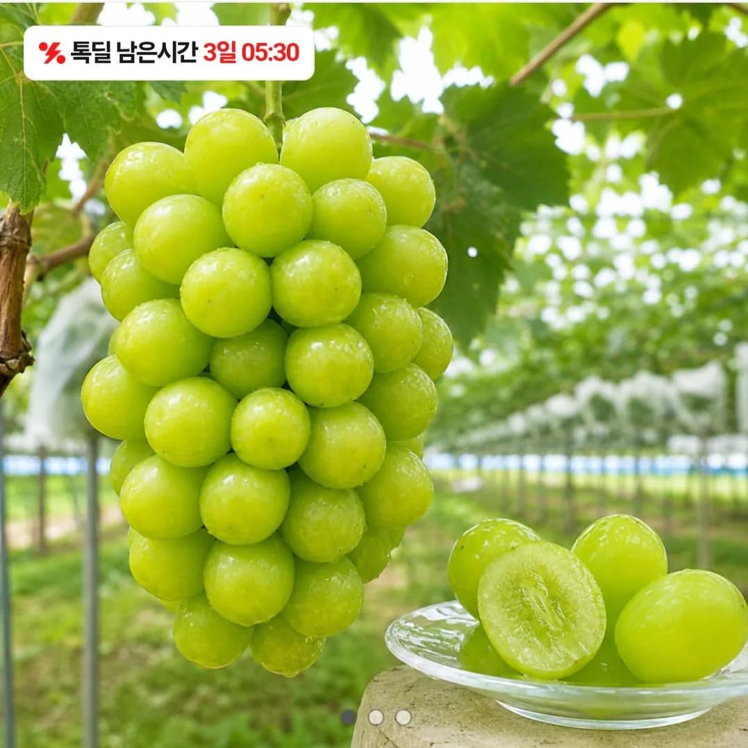 삭제된 게시글입니다.