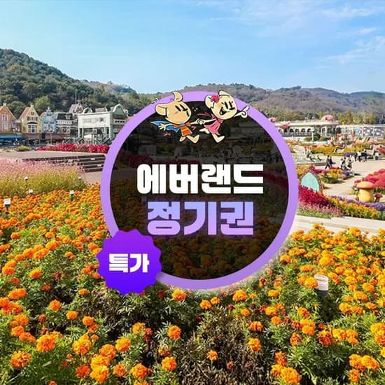 용인 에버랜드 정기권 연간이용 365스탠다드 대인권