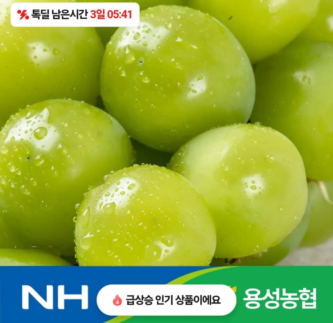 농협선별 샤인머스켓 2kg