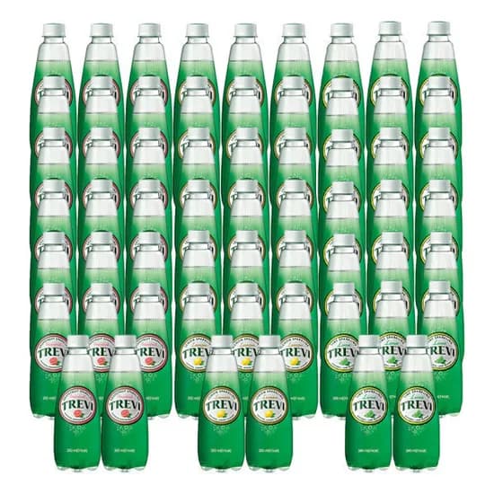 트레비 레몬 300ml 20펫 외 2종