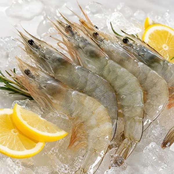 국내산 신안 활새우 1kg 28미내외