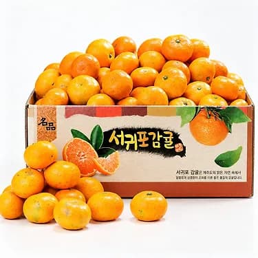 제주직송 타이벡 감귤 4.5kg