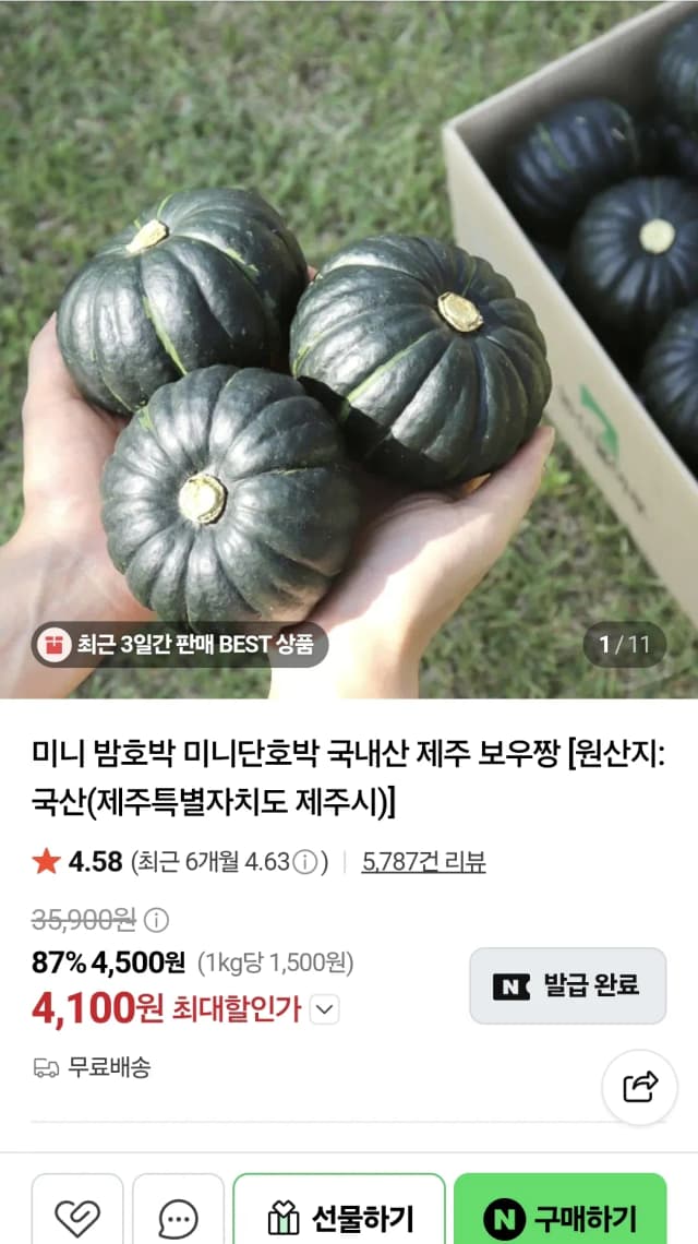 국내산 제주 미니 밤호박 5KG