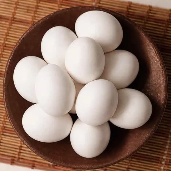 동물복지 유정란 60구 대란