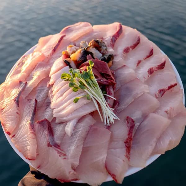 국내산 제철 방어회 필렛 원물 8kg이상 손질 후 500g