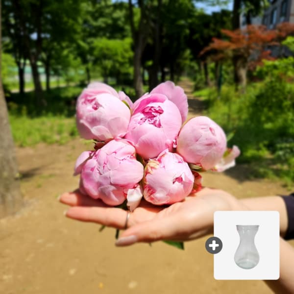 유스풀몰 작약꽃 3송이
