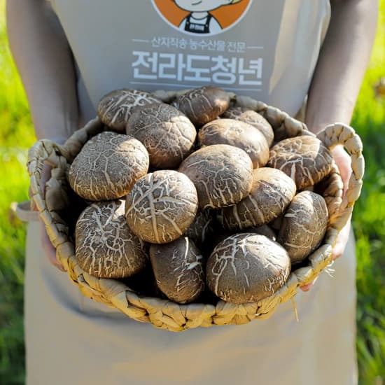 환경재배 안동 표고버섯 1kg 외