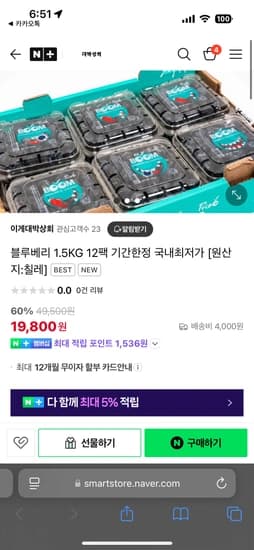 블루베리 125gX12팩 총 1.5kg