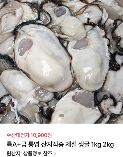 통영생굴 1kg