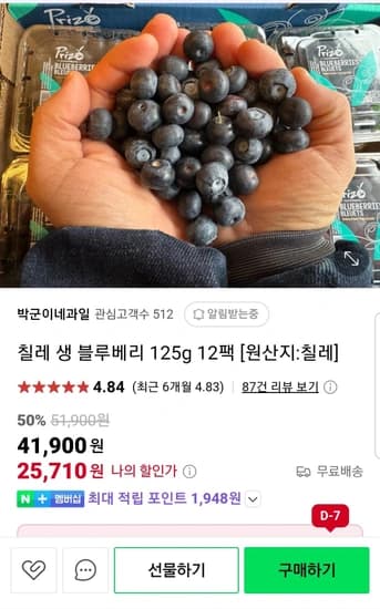 칠레산 생 블루베리 125g 12팩