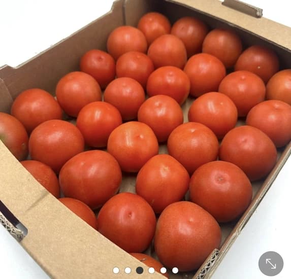 국내산 유럽종 완숙 토마토 3.5kg
