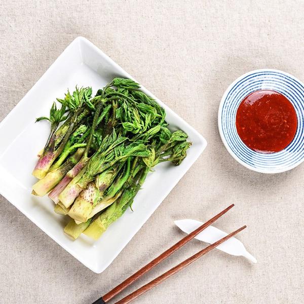 국내산 땅두릅 1kg (500g x 2팩)