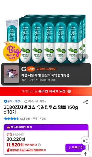 2080진지발리스 유칼립투스 민트 치약 150g x 10개