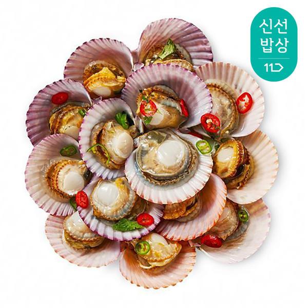 국내산 통영 가리비 2kg