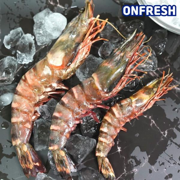 블랙타이거 새우 500g, 10미