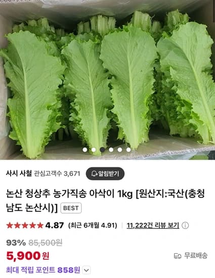 논산 청상추 농가직송 아삭이 1kg