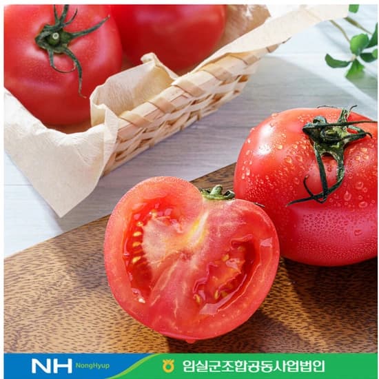 완숙토마토 5kg
