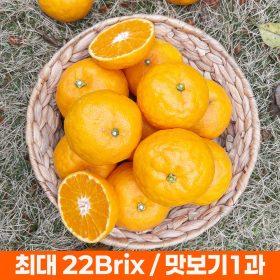 설국향 2kg + 2kg 최대 22브릭스