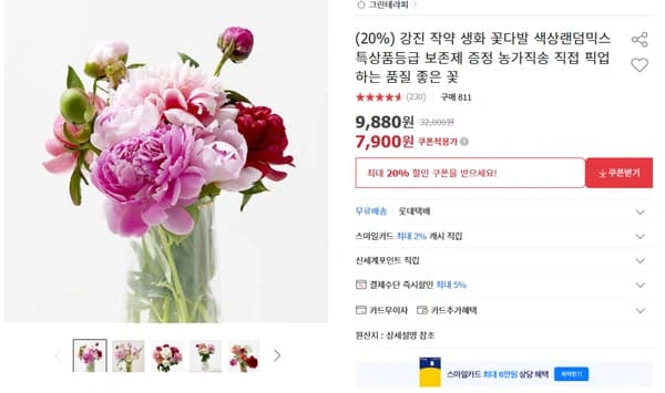 특등급 강진 작약 생화 꽃