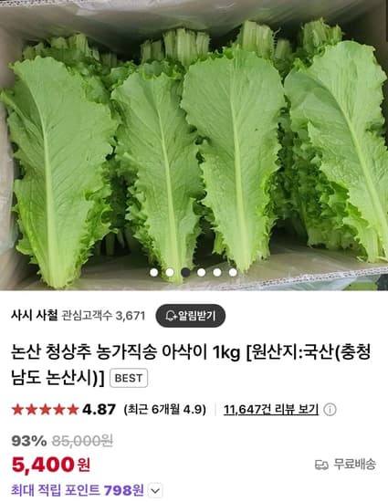 논산 청상추 농가직송 아삭이 1kg