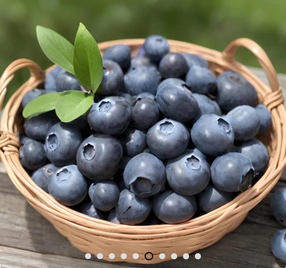 국산 무농약 생 블루베리 왕특 1kg