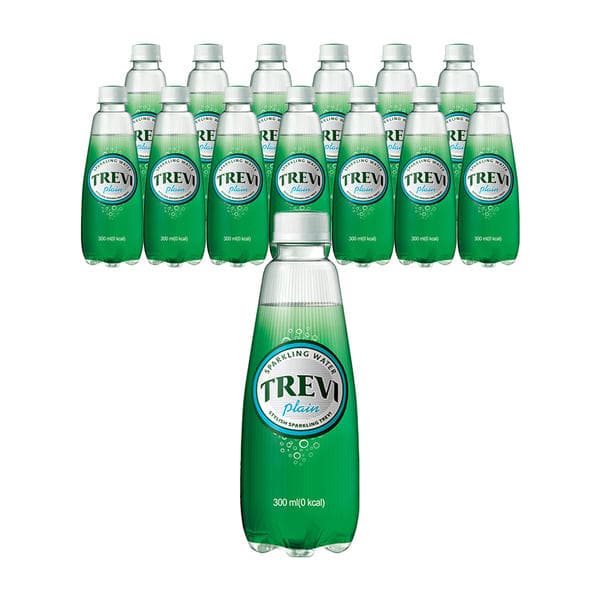 트레비 플레인 300ml 20개