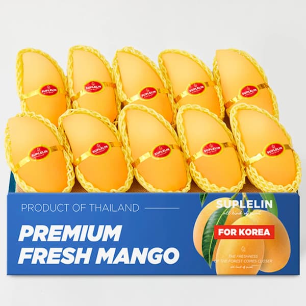 코인딜) 태국산 골드망고 4KG