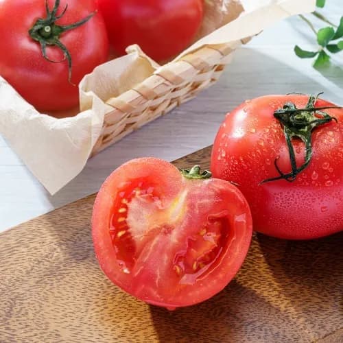 완숙 토마토 5kg