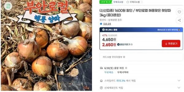 부안로컬 해풍맞은 햇양파 3kg (중대혼합)