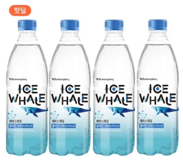 아이스웨일 플레인 500ml 20입