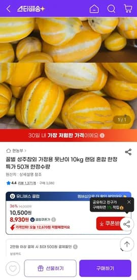 꿀벌 성주참외 가정용 못난이 10kg 랜덤 혼합 한정 특가 50개 한정수량