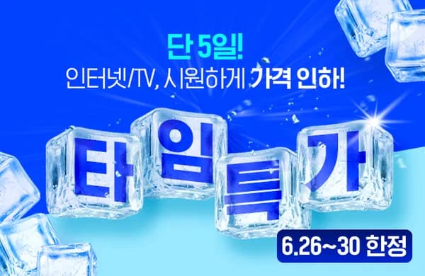 인터넷+TV 결합상품