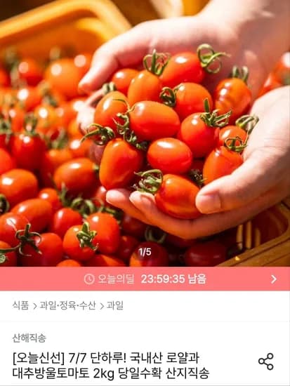 대추방울토마토 2kg 로얄과