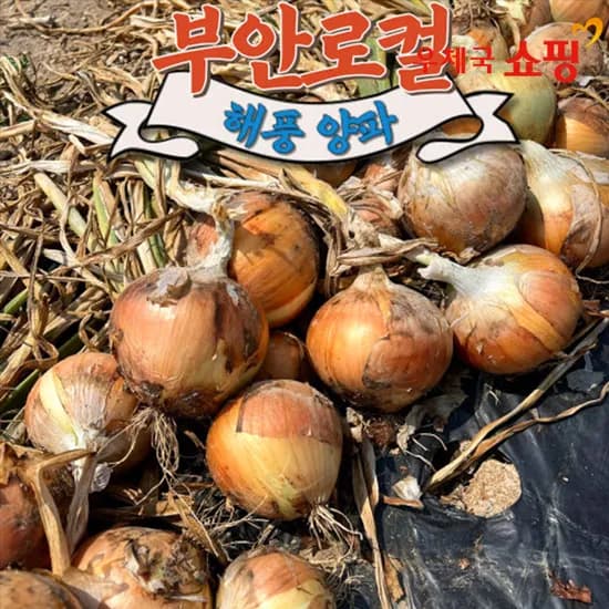 해풍맞은 햇양파 중대혼합 3kg
