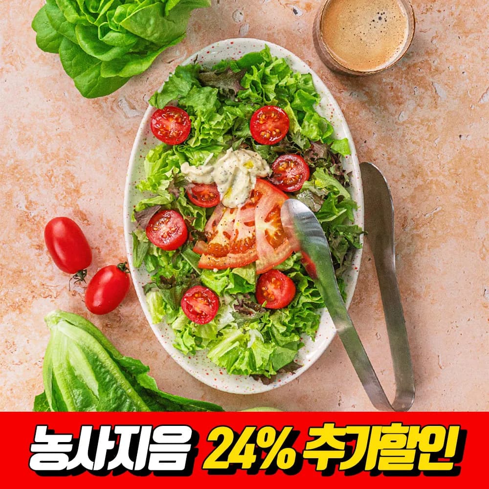 유러피안 샐러드 채소 1KG 3-4종 (코인딜)
