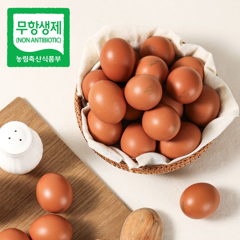 맥반석 계란 60구