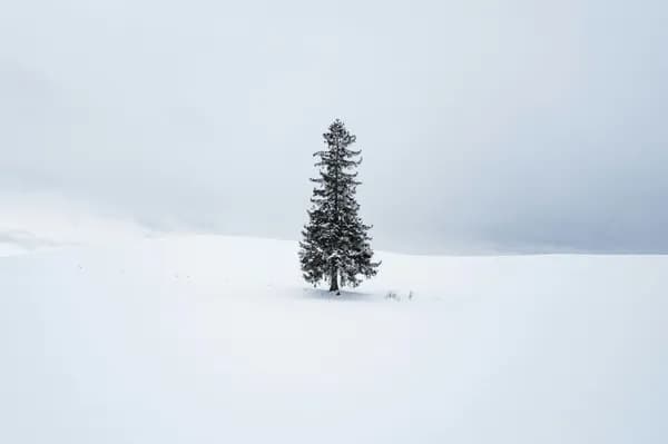 9.29월-10.3금 인천-삿포로 제주항공+이스타항공