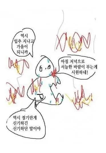 커버낫 86% 세일 다운류 3만원대