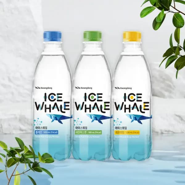 광동 아이스웨일 샤인머스캣 500ml 20개입