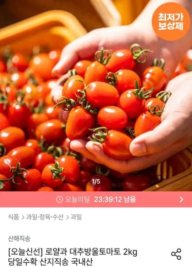 대추방울토마토 2kg 로얄과