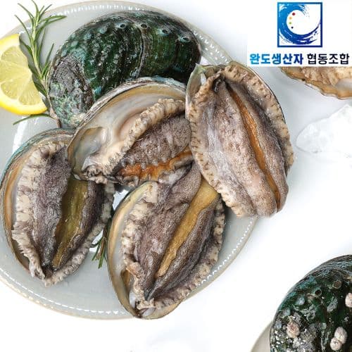 공영쇼핑) 완도 활 전복 왕특대 1kg 10미 21,520원