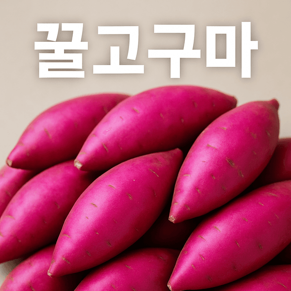 롯데온)해남 새척 한입 고구마 3kg 대 9,800원 무배