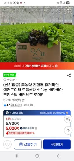 g마켓유클) 무농약 친환경 유러피안 샐러드야채 모듬쌈채소 1kg 5,020원