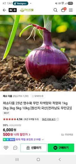 채소다움 25년 햇수확 무안 자색양파 적양파 1kg 1000원(룰렛5천쿠)