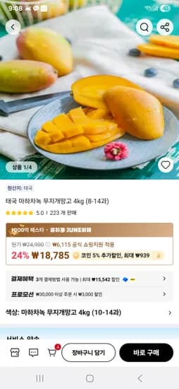 알리) 마하차녹 무지개 망고 4kg(8~14과) 18,785원
