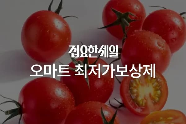 오늘의집) 시그니앙 골드퍼플 82평량 물티슈 20팩 17,494원 (토스타겟 14,494원)