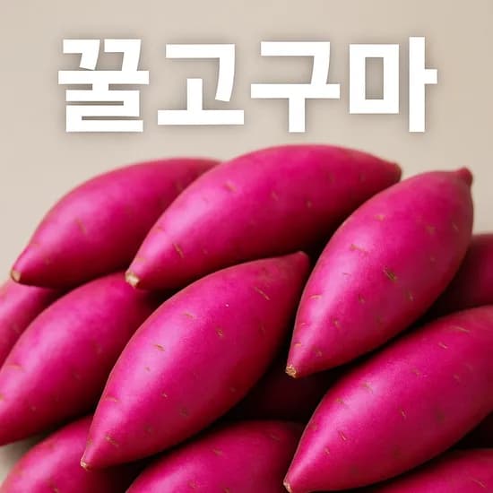 롯데온)해남 세척 꿀 고구마 3kg 대 8,900원 무배