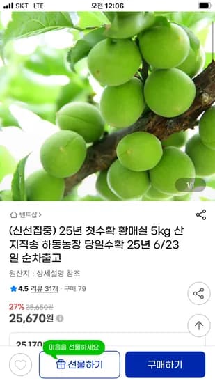 지마켓) 25년 첫수확 하동농장 산지직송 황매실 5kg 25,670원 무배