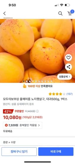 쿠팡)모두의보부상 올해여름 노지햇살구, 대과500g, 1박스 10,080원
