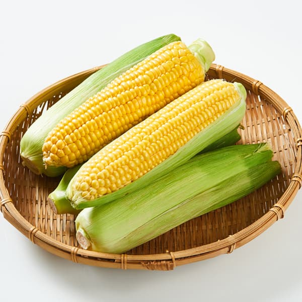 남도장터) 해남 초당옥수수 특품 15cm 이상 10개 9310원 무배